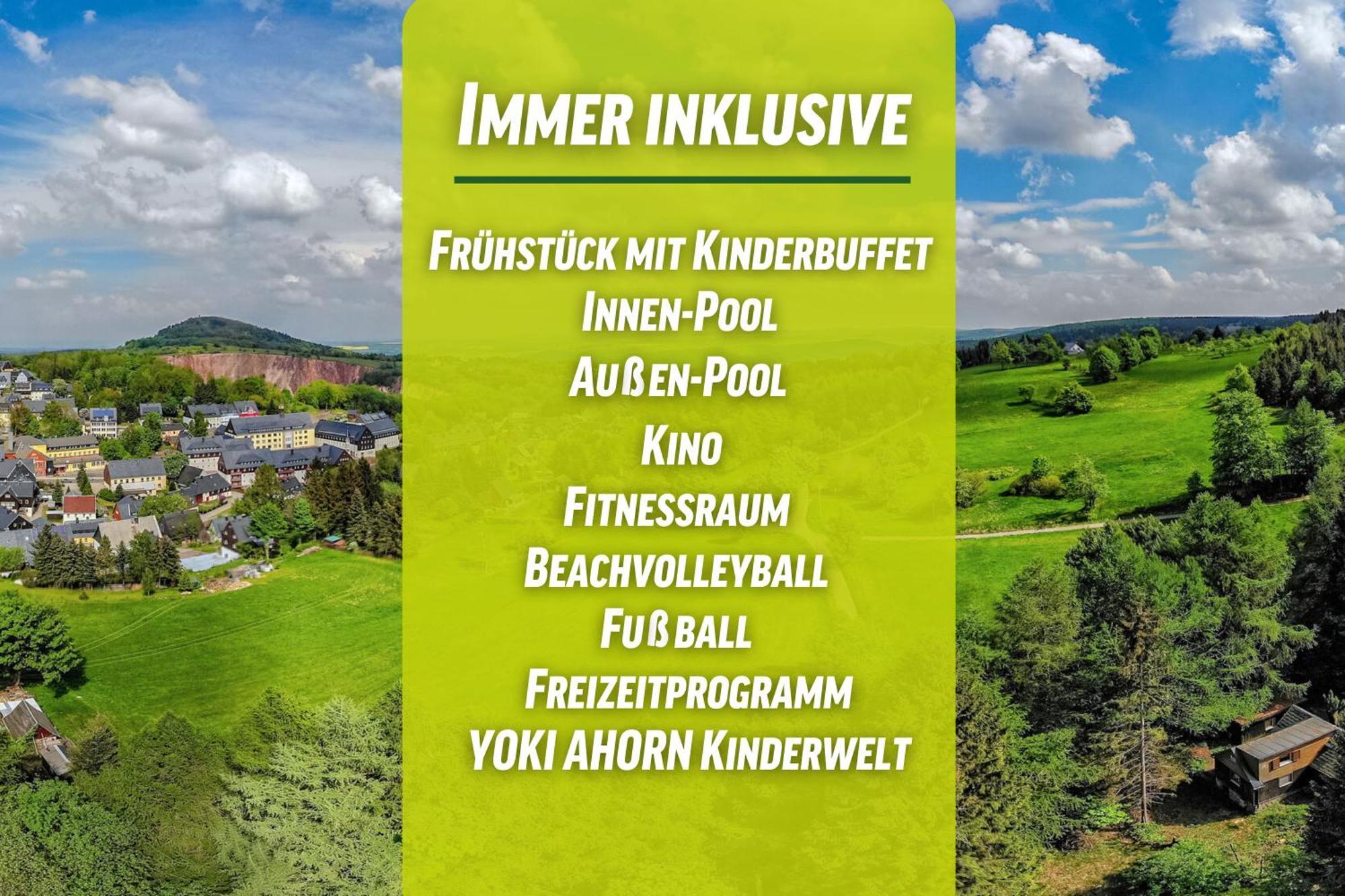 Ahorn Waldhotel Altenberg Buitenkant foto